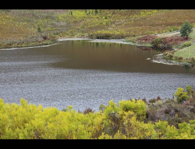 911HA FARM FOR SALE IN RIVERSDALE RURAL